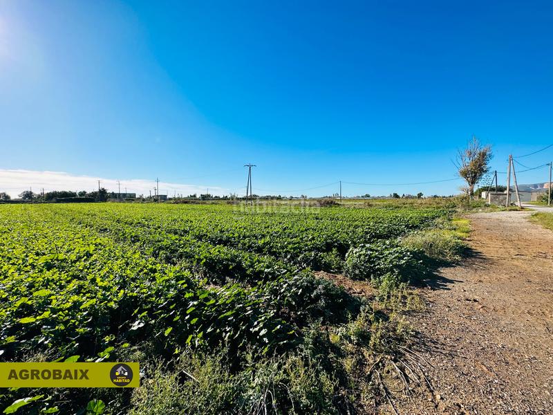 Foto 453ff8ba-4dc5-4c1b-a5bc-0d524b78c64d. Finca rústica excelente ubicacion en Vilamarina Viladecans