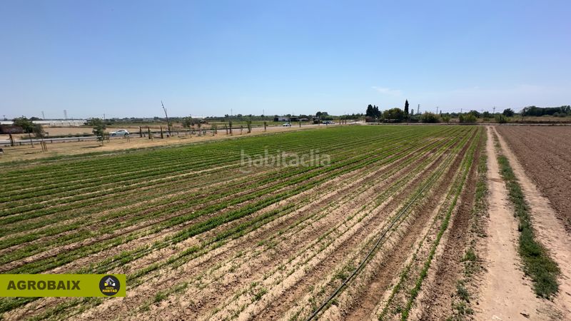 Foto 47dc576d-34ac-46b6-baff-080b1702b95a. Finca rústica a Vilamarina Viladecans