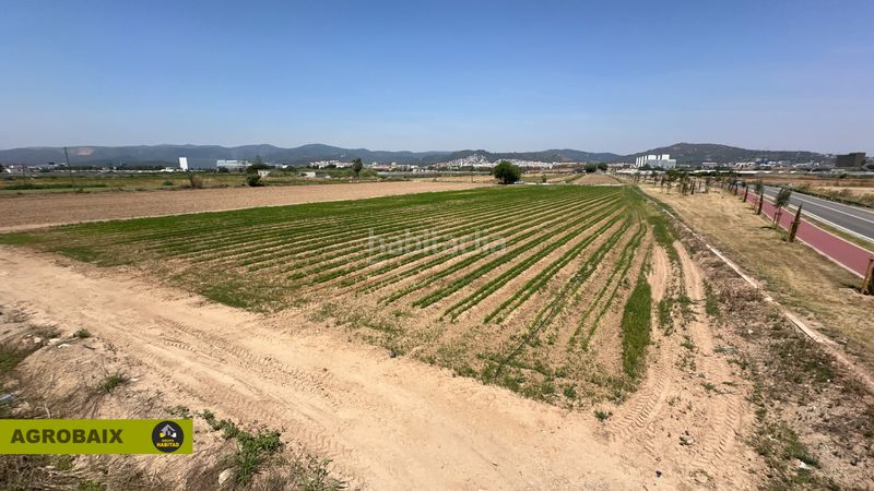 Foto 4c6d30fe-6588-4cdb-851a-d641e865e006. Finca rústica a Vilamarina Viladecans