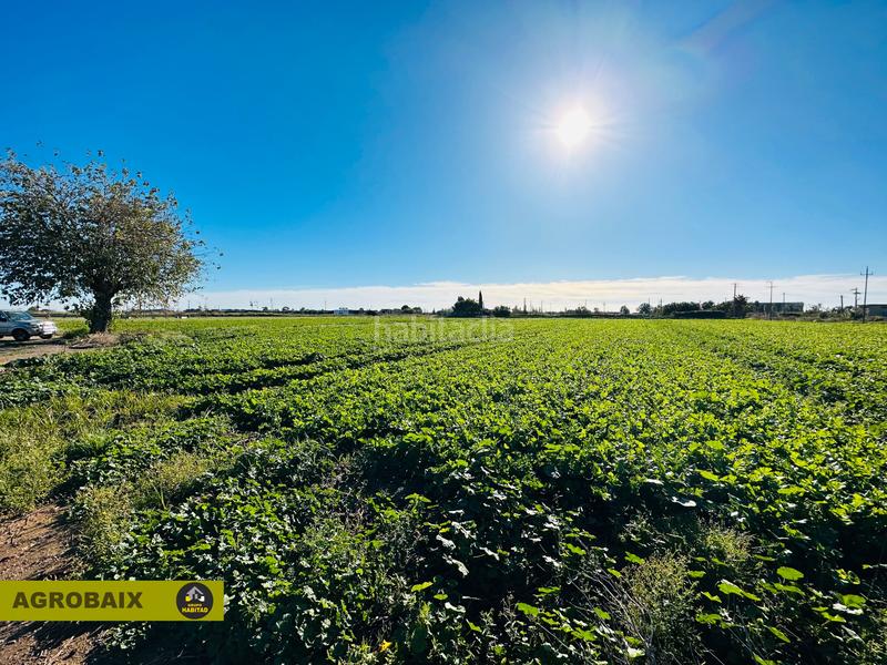 Foto 5f7c99b8-da3f-4c28-a7de-402fa1298d6c. Finca rústica excelente ubicacion en Vilamarina Viladecans