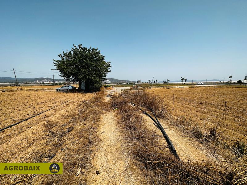 Foto 7523477d-e2b5-4ba0-807e-ff926246c48b. Finca rústica excelente ubicacion en Vilamarina Viladecans