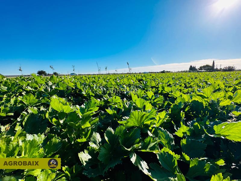 Foto 78309286-d640-4564-baeb-8f638a29a844. Finca rústica excelente ubicacion en Vilamarina Viladecans