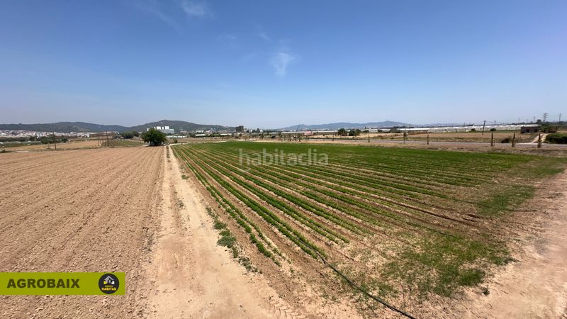 Foto 81ab519b-9d4b-4355-858a-79c64b21f3d2. Finca rústica a Vilamarina Viladecans
