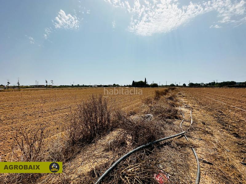 Foto 893cb8fd-28f0-47a7-85f8-dd1ce67d5ea7. Finca rústica excelente ubicacion en Vilamarina Viladecans