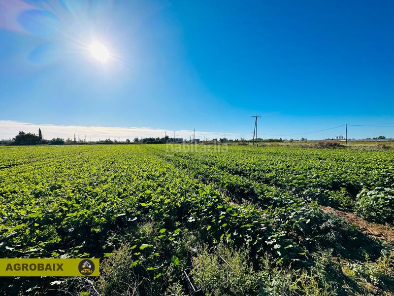 Foto 980437f4-a720-4846-908b-bbfc31707695. Finca rústica excelente ubicacion en Vilamarina Viladecans