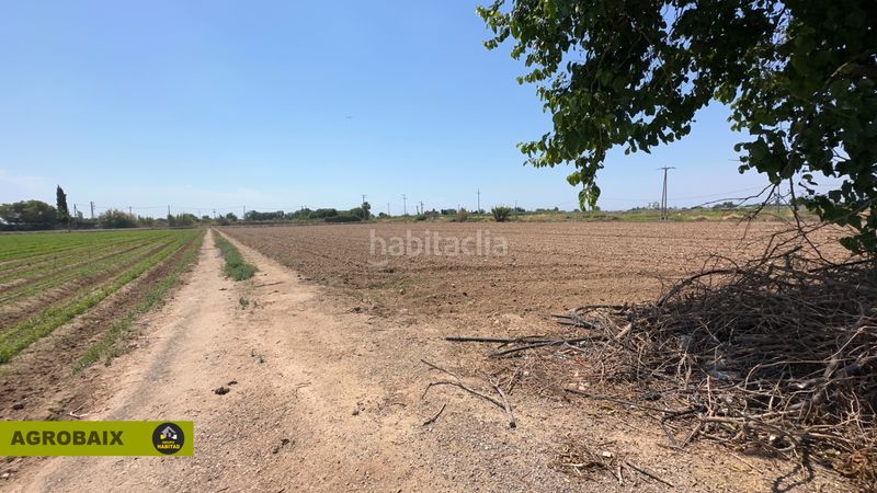 Foto 994a65cf-7320-4970-8162-7c9d7d488153. Finca rústica a Vilamarina Viladecans