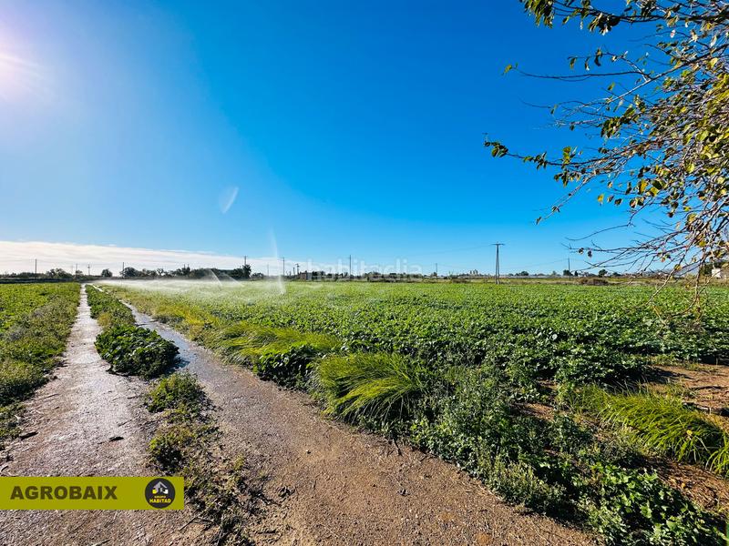 Foto a9ed9070-e37d-4fb6-8096-294b896f71bb. Finca rústica excelente ubicacion en Vilamarina Viladecans