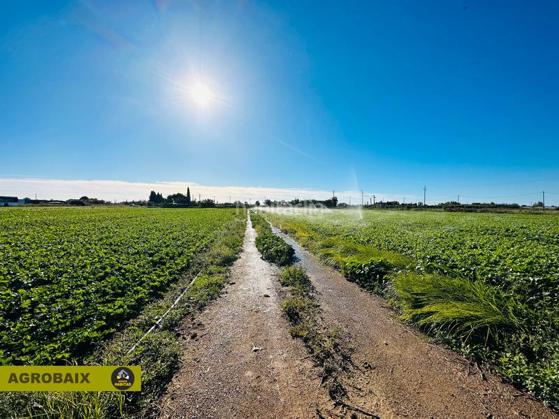 Foto bced58a6-5ca9-4005-9d41-db2c9f42c032. Finca rústica excelente ubicacion en Vilamarina Viladecans