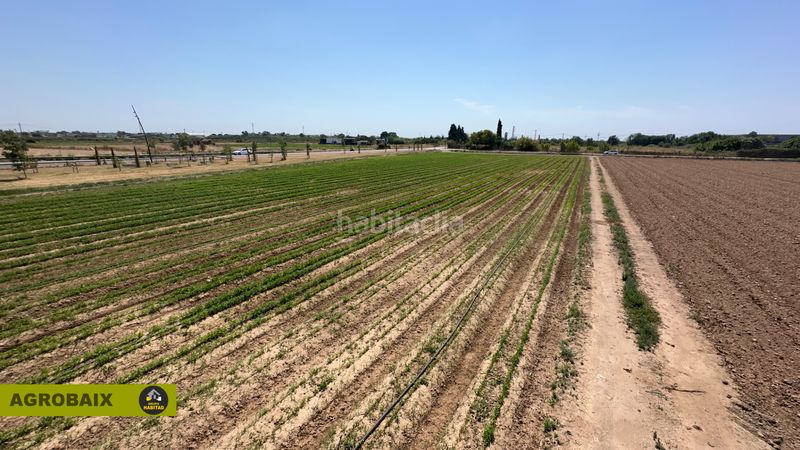 Foto bd626a72-08c8-419f-ac94-c0d180deb12e. Finca rústica a Vilamarina Viladecans
