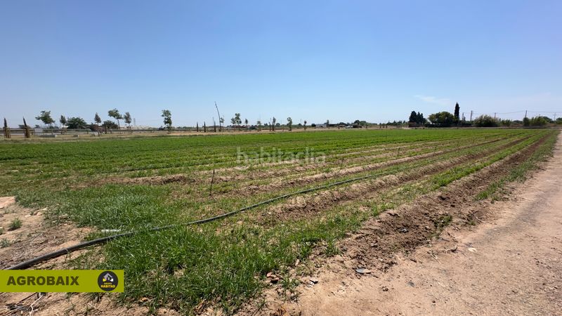 Foto ca6ed01b-1399-4b74-befc-440157f85eae. Finca rústica a Vilamarina Viladecans