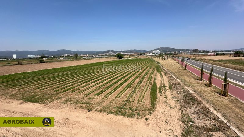 Foto d20986bb-b485-4ee1-8fcc-1a07923811cc. Finca rústica a Vilamarina Viladecans