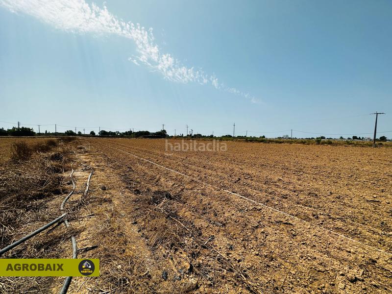 Foto dfb8a3f5-2d46-4636-9c5d-77562674273c. Finca rústica excelente ubicacion en Vilamarina Viladecans