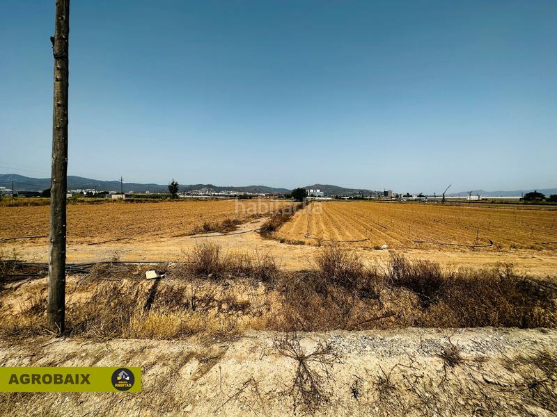 Foto f8535c2d-0f71-4385-b834-58c52fa7a034. Finca rústica excelente ubicacion en Vilamarina Viladecans