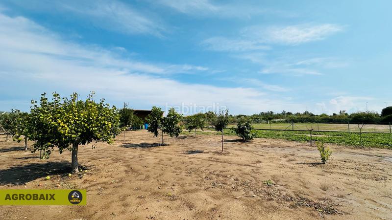 Foto 3b868dd7-2fee-424e-bbaa-cd977d35c82c. Finca rústica en avinguda del mar 2 en excelente ubicación en Gavà