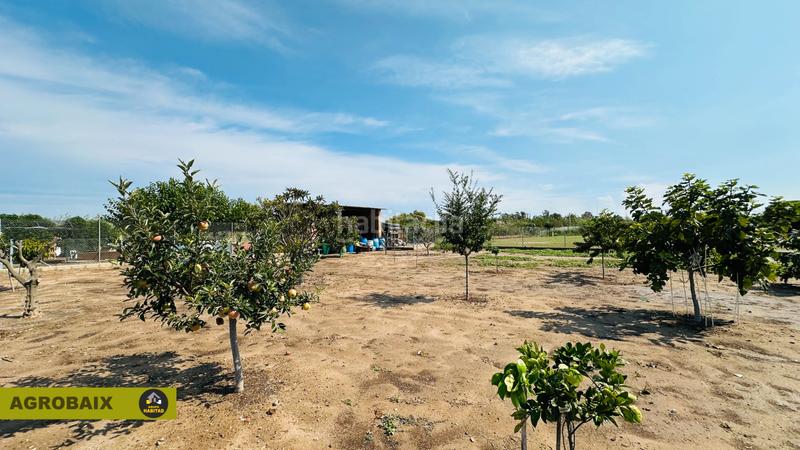 Foto 44449c54-9464-4ba4-963f-b4dd3fa93e9e. Finca rústica en avinguda del mar 2 en excelente ubicación en Gavà