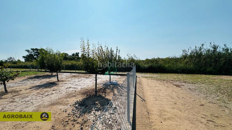 Foto e1735955-fcf6-4796-87ad-28e944b36667. Finca rústica en avinguda del mar 2 en excelente ubicación en Gavà