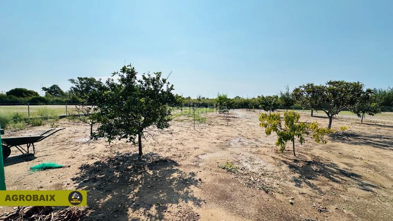 Foto f56ce425-c656-4034-b758-27f11e4743eb. Finca rústica en avinguda del mar 2 en excelente ubicación en Gavà