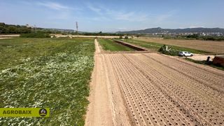 Rural plot in Santa Coloma de Cervelló. Totalmente llana