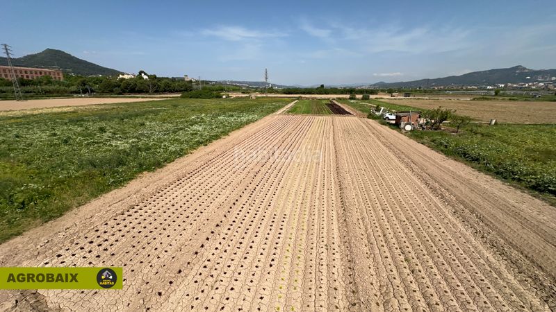 Foto 38b88941-9ae7-4cba-84f3-b3597beb08e3. Finca rústica a Santa Coloma de Cervelló