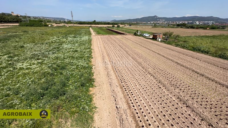Foto abd9555d-5d0c-4e4e-bc91-da2cb80ea627. Finca rústica a Santa Coloma de Cervelló