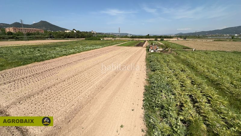 Foto d9030ff6-bf1e-4967-884d-a93cd36c397c. Finca rústica a Santa Coloma de Cervelló