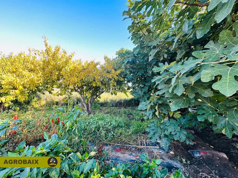 Foto 5ae58d8c-3179-479a-89eb-d250552a0bc9. Propriété dans Vinyets-Molí Vell Sant Boi de Llobregat