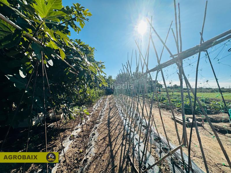 Foto b8ad5bf9-f1f9-448f-a71e-8d6bf289bdf9. Propriété dans Vinyets-Molí Vell Sant Boi de Llobregat