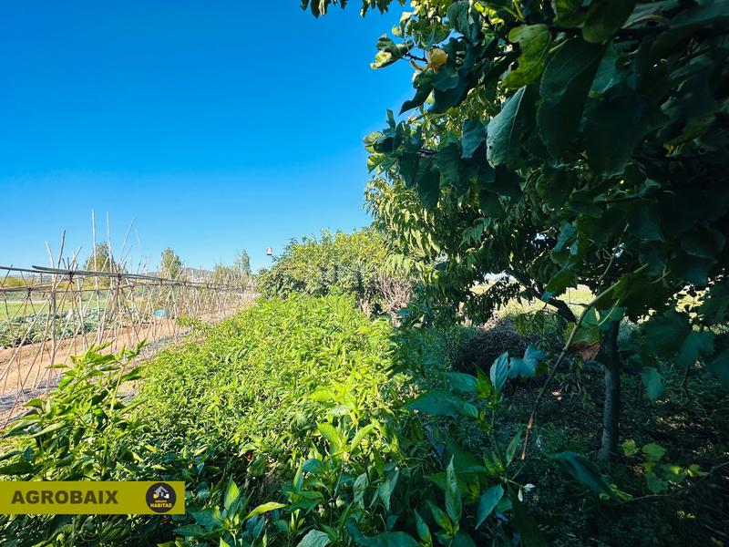 Foto a34711f1-f25a-403d-80c7-f37bbf19e53e. Finca rústica a Vinyets-Molí Vell Sant Boi de Llobregat