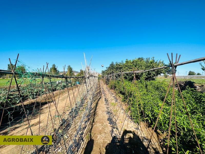 Foto f16fbb97-57fd-42c8-814d-0439e7d65e6e. Finca rústica a Vinyets-Molí Vell Sant Boi de Llobregat