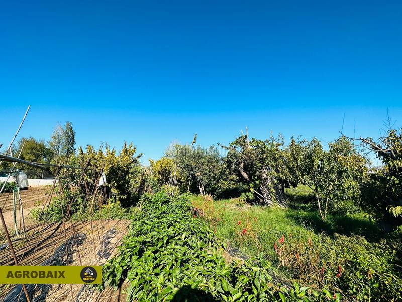 Foto f462a189-49d3-49f2-ba57-1235b88d9c0d. Finca rústica a Vinyets-Molí Vell Sant Boi de Llobregat