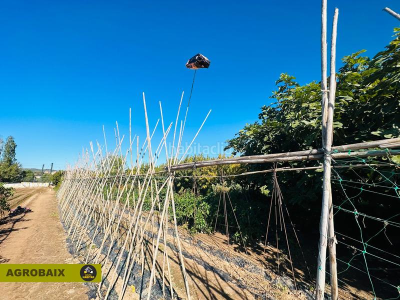 Foto 3d80f6ff-f0cb-43ac-95fb-ba8b5c1a86ef. Finca rústica en Vinyets-Molí Vell Sant Boi de Llobregat