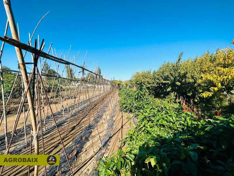 Foto 57fb99a6-4228-426d-8f32-5994db93678b. Finca rústica en Vinyets-Molí Vell Sant Boi de Llobregat