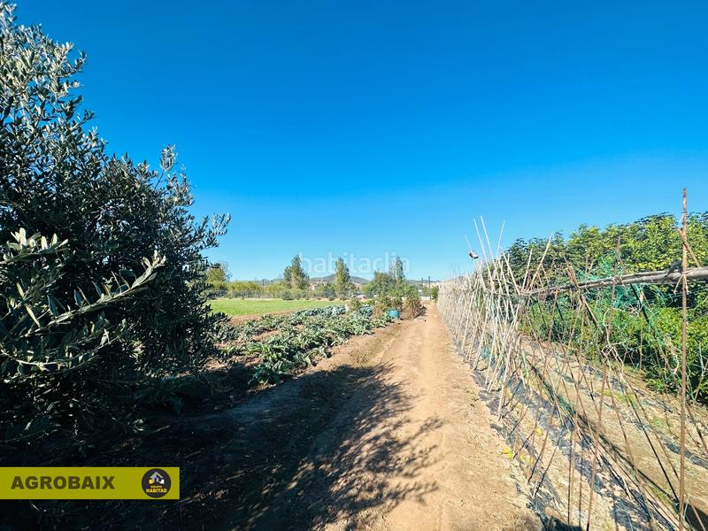 Foto 79705797-939c-47ef-b47a-d51254c9a889. Finca rústica en Vinyets-Molí Vell Sant Boi de Llobregat