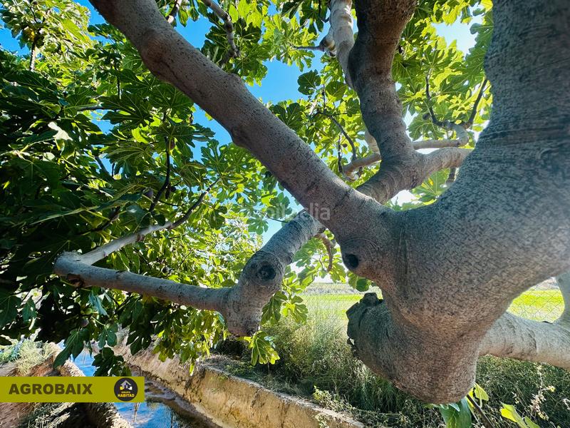 Foto c24219c9-1282-40a6-b64c-483697b183a9. Finca rústica en Vinyets-Molí Vell Sant Boi de Llobregat