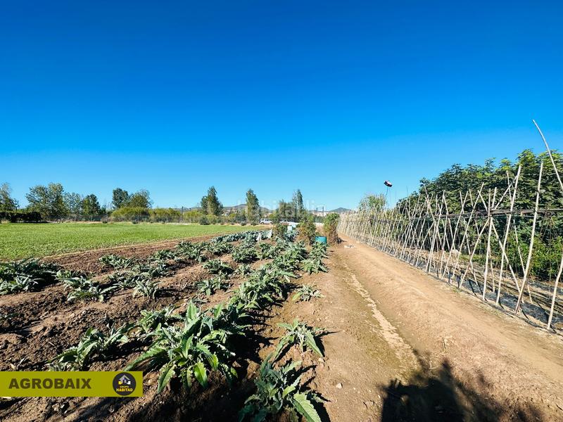Foto d1329ae5-37e7-4b86-b0bf-4f29587027de. Finca rústica en Vinyets-Molí Vell Sant Boi de Llobregat