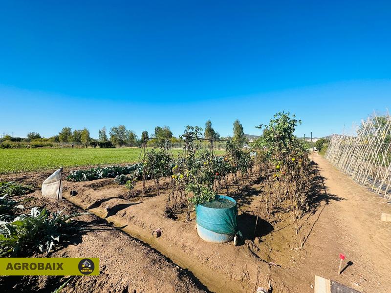 Foto ffd2f9b9-ccae-4d3c-9a22-a035fa422fd7. Finca rústica en Vinyets-Molí Vell Sant Boi de Llobregat