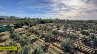 Finca r�stica en Torrent d'en negre 19. En excelente ubicaci�n