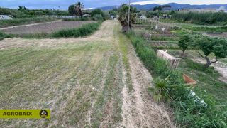 Landgut  N/a. Parcela de regadio