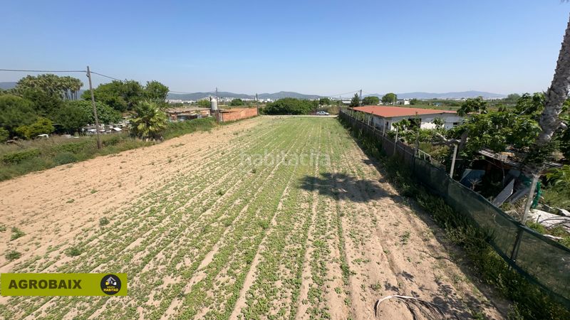 Foto caa2af47-2d18-4512-914e-80d2fffe43f0. Finca rústica a Gava Mar Gavà