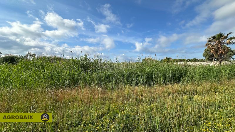 Foto dcd4dd1a-14a0-48a6-9863-e3c3a3028806. Finca rústica a Gava Mar Gavà