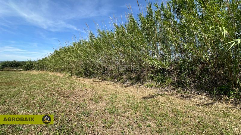Foto 5ca94208-988f-4d2f-9e96-c72ed9577df9. Finca rústica a Vinyets-Molí Vell Sant Boi de Llobregat