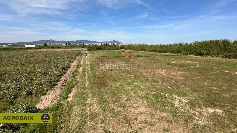 Foto 8955ec34-14dd-4974-a49f-3c8f8e98d34f. Finca rústica a Vinyets-Molí Vell Sant Boi de Llobregat