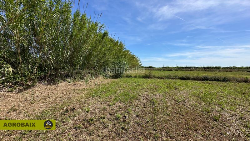 Foto ba4ca54f-1228-4124-8d56-75ee9ce8fb8e. Finca rústica a Vinyets-Molí Vell Sant Boi de Llobregat