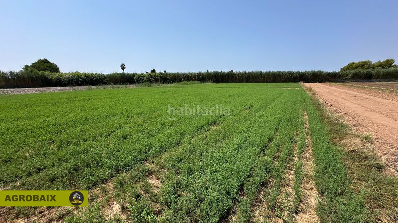 Foto 3f91fa90-baf3-4d1a-9366-62b8861e9f68. Finca rústica a lloc raurell 37b a Gava Mar Gavà