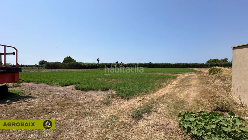 Foto 79f0f09d-d7fd-4cf4-a3cb-e8f8491bcd3e. Finca rústica a lloc raurell 37b a Gava Mar Gavà