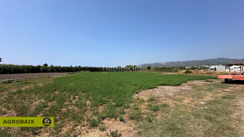 Foto 8e1bfe92-1ce2-424c-b196-b73a25c971fb. Finca rústica a lloc raurell 37b a Gava Mar Gavà