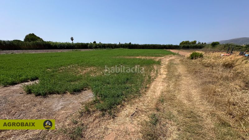 Foto 9bdff8a3-be95-4d4f-bc7f-5c8ed9eb19d8. Finca rústica a lloc raurell 37b a Gava Mar Gavà