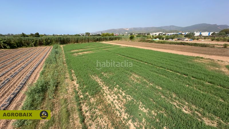 Foto a50a7572-9c49-4751-a965-fde6b7a08382. Finca rústica a lloc raurell 37b a Gava Mar Gavà