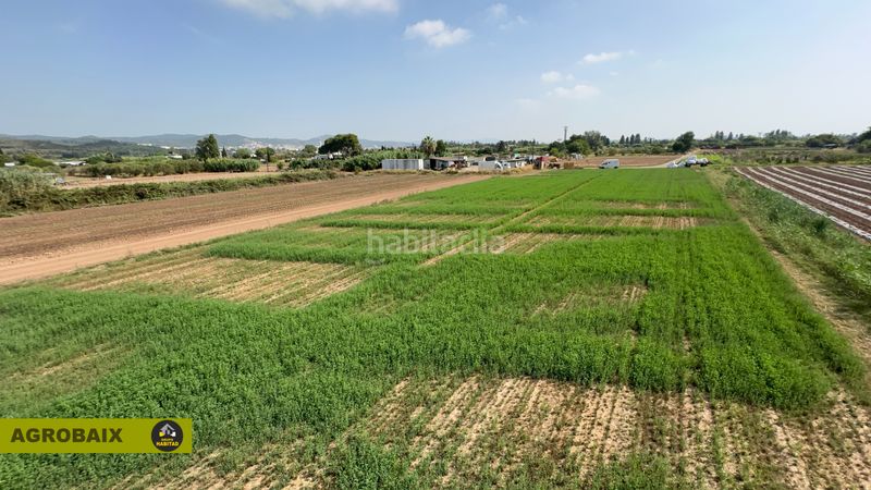 Foto a9a4e339-51d8-43a7-94b6-1b3503701f0b. Finca rústica a lloc raurell 37b a Gava Mar Gavà