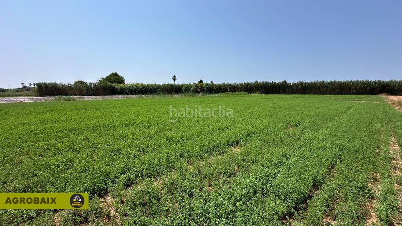 Foto ce1e1c13-82f3-487f-bebe-632f9e8da04a. Finca rústica a lloc raurell 37b a Gava Mar Gavà